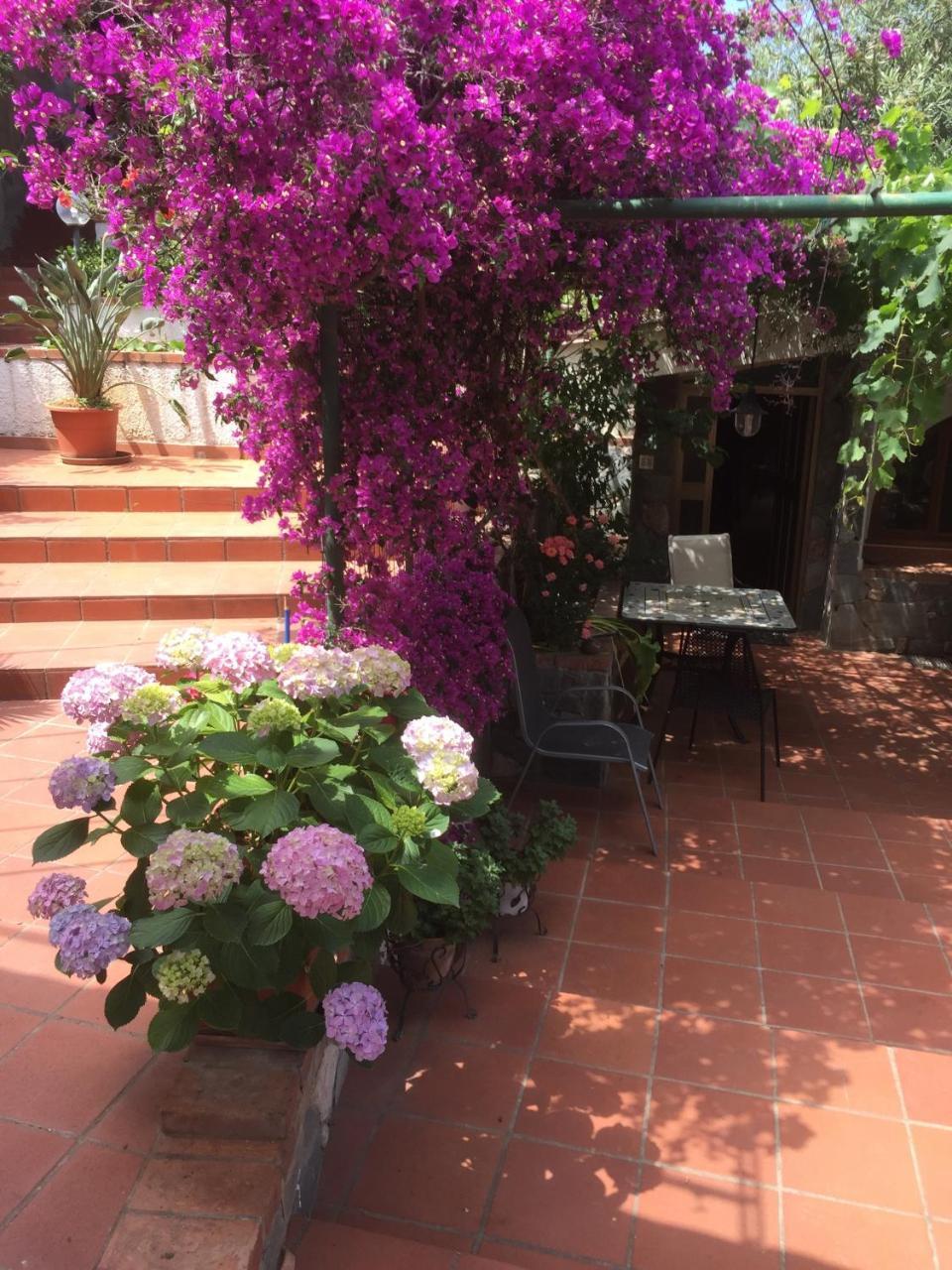 L' Arca Residence 체팔루 외부 사진